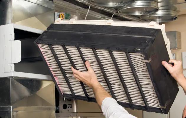 More Services_Whole Home Air Purifiers